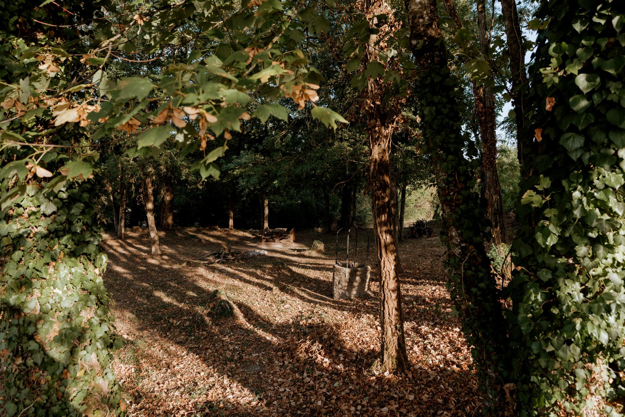 Jardin du curé