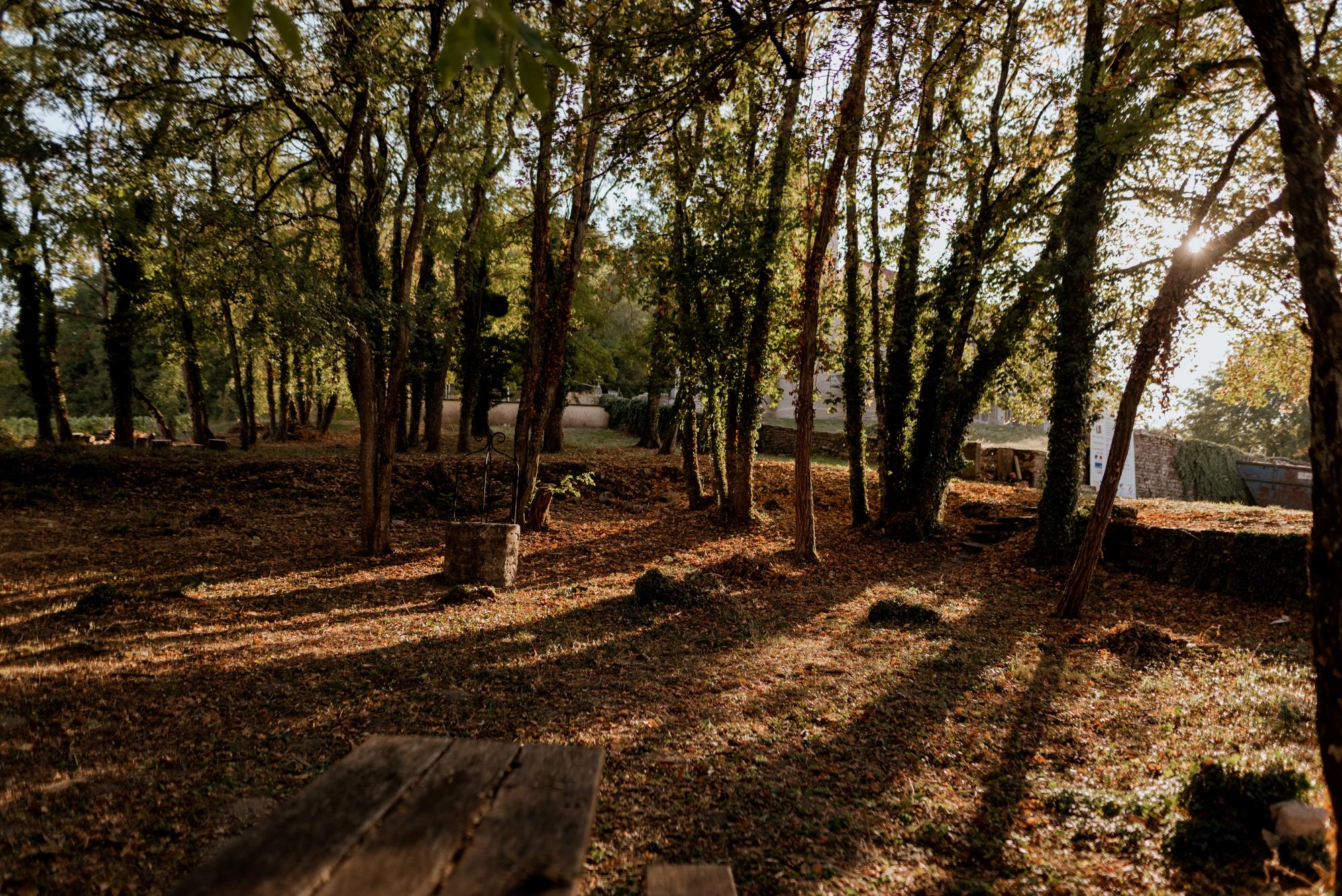 Jardin du curé