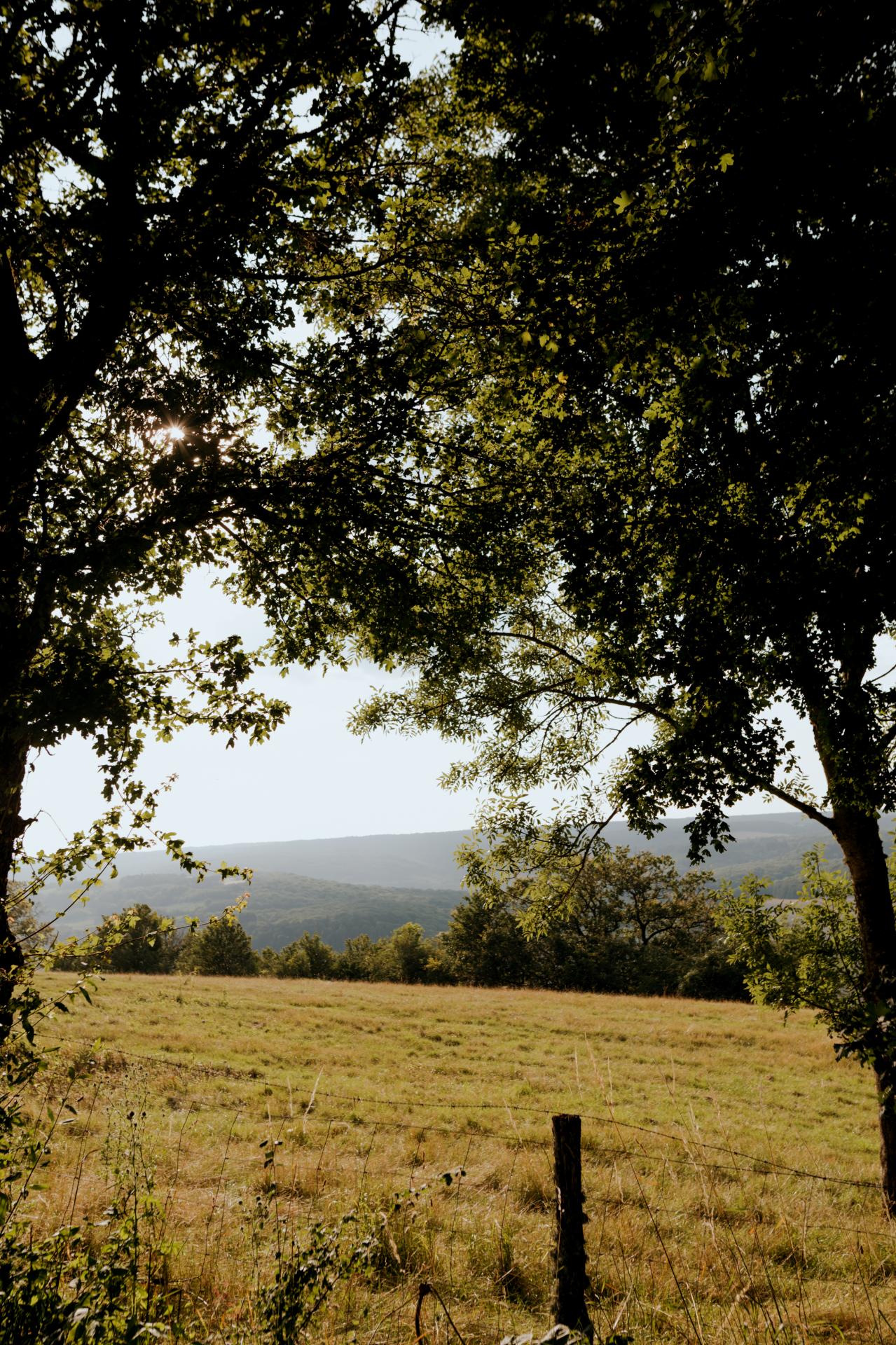 Vue depuis la butte de Vergy