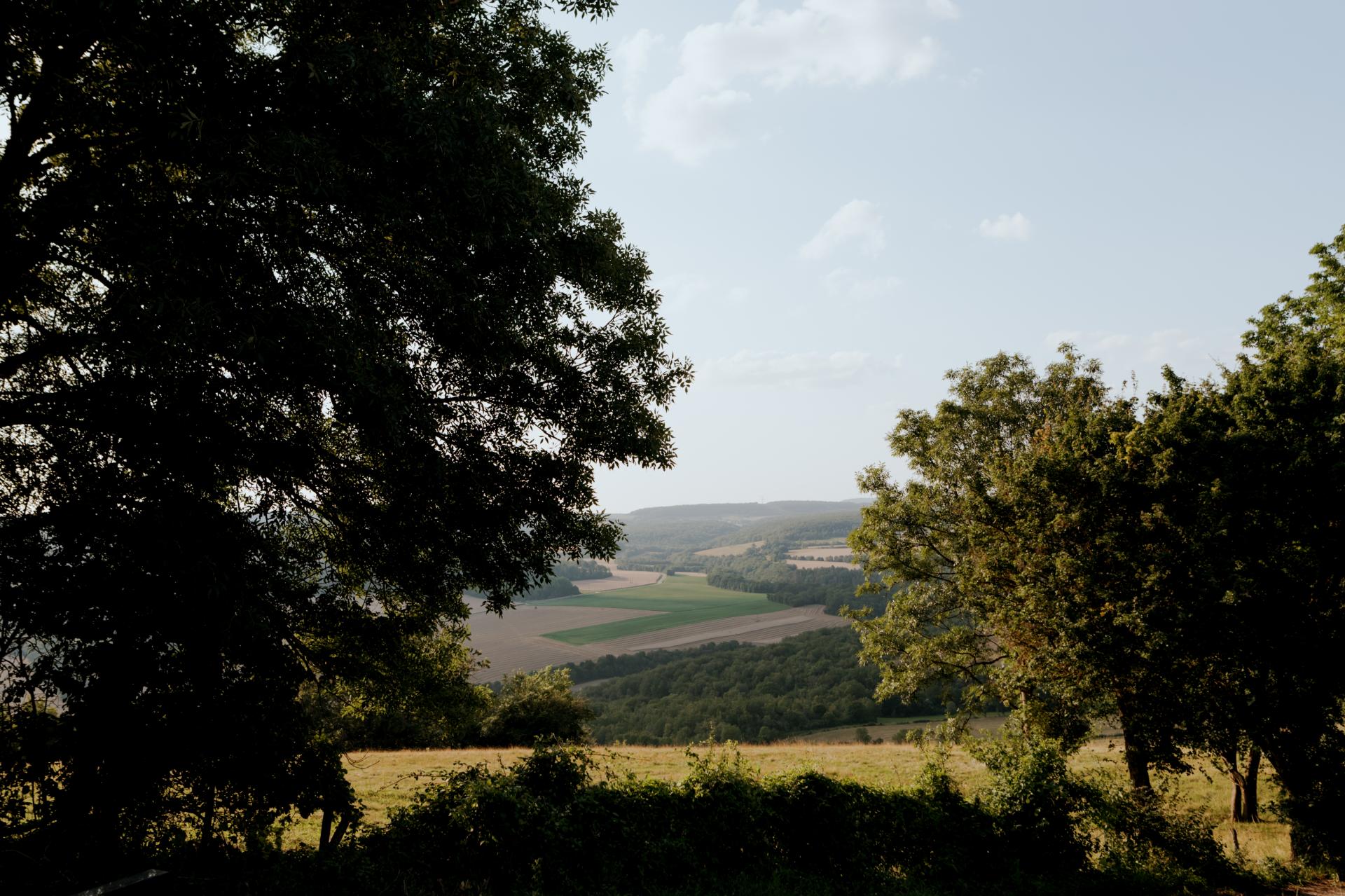 Vue depuis la butte de Vergy