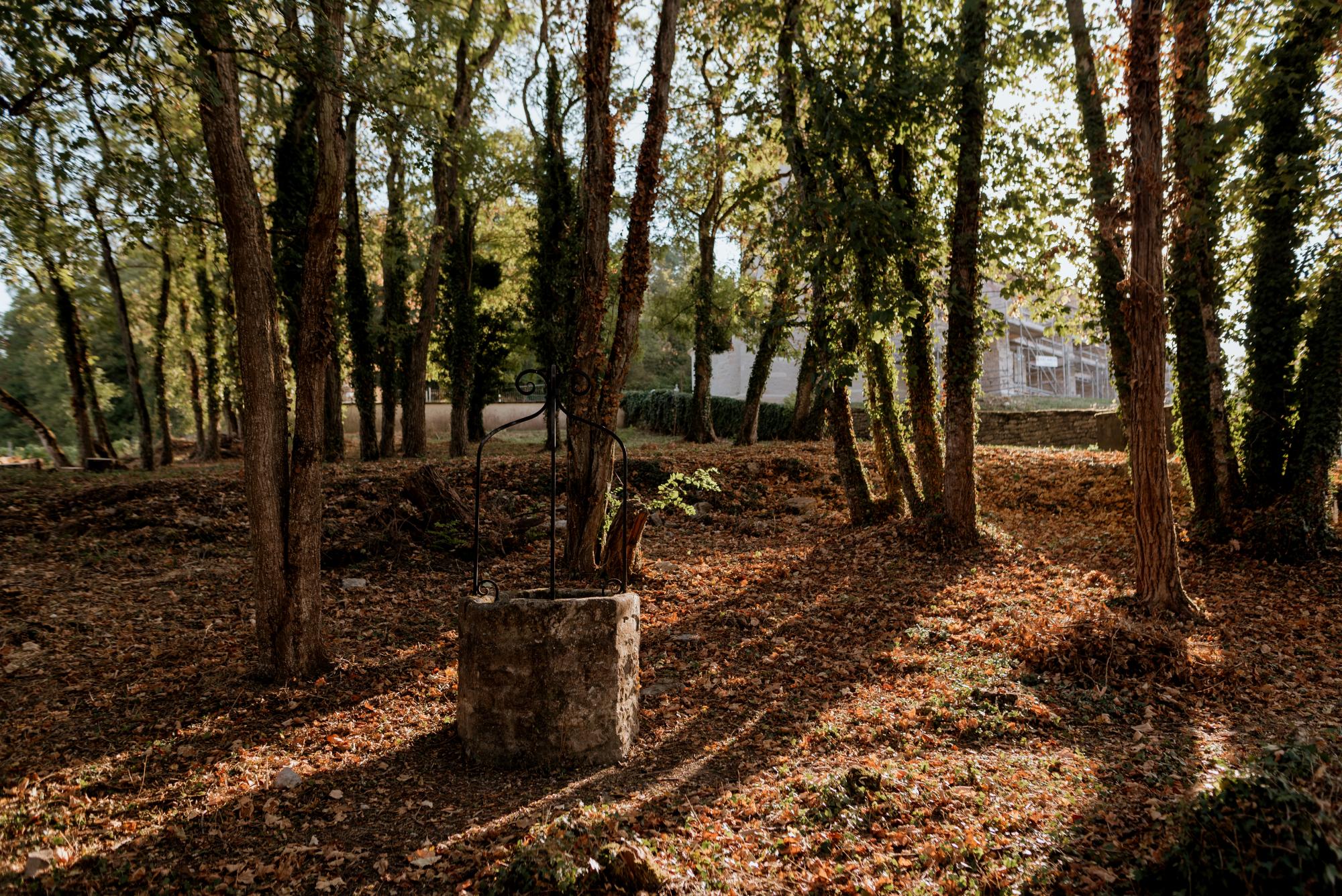 Jardin du curé