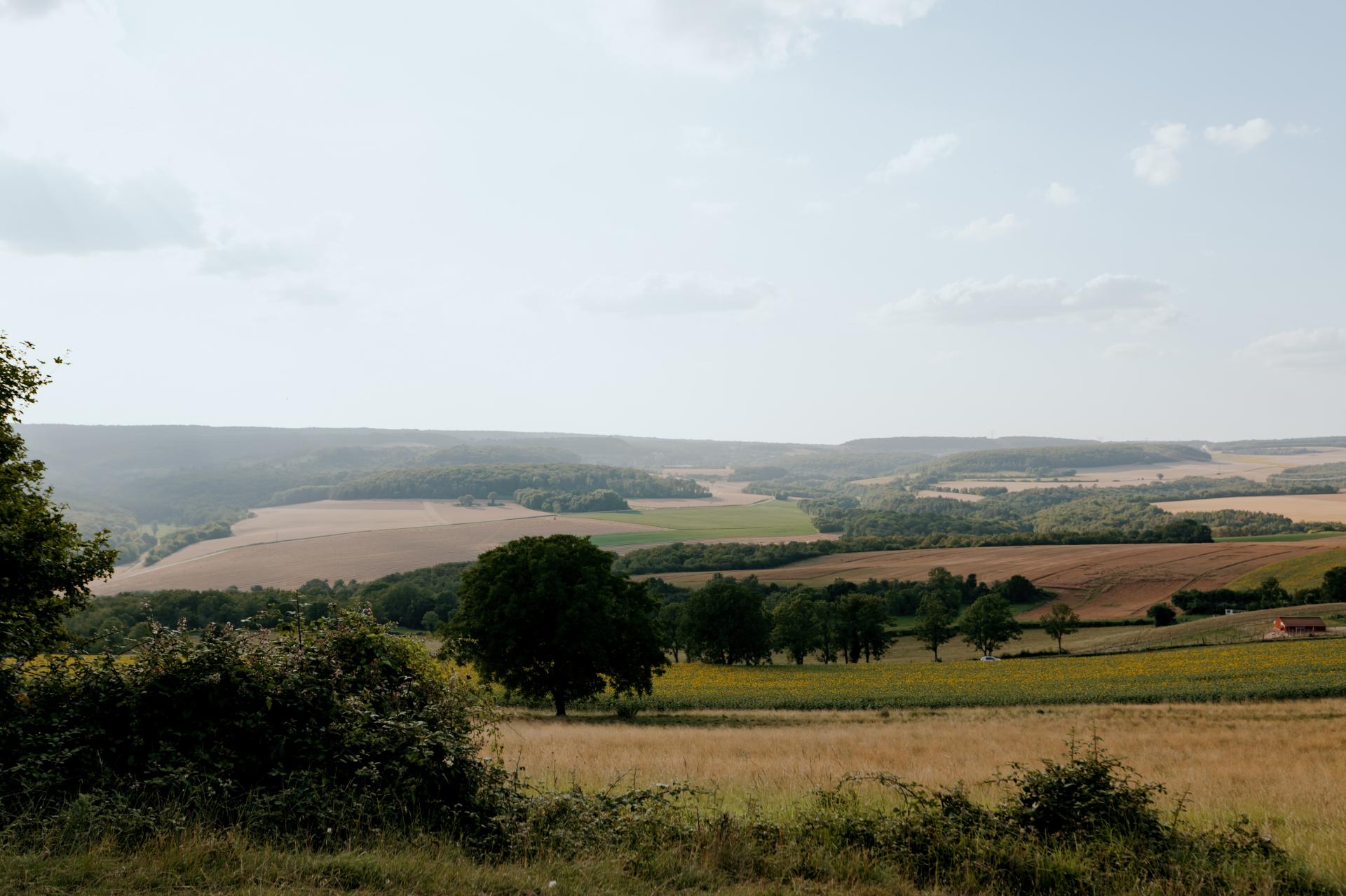 Vue depuis la butte de Vergy